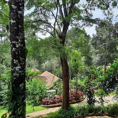 Willow Resorts Ambalavayal Exterior photo
