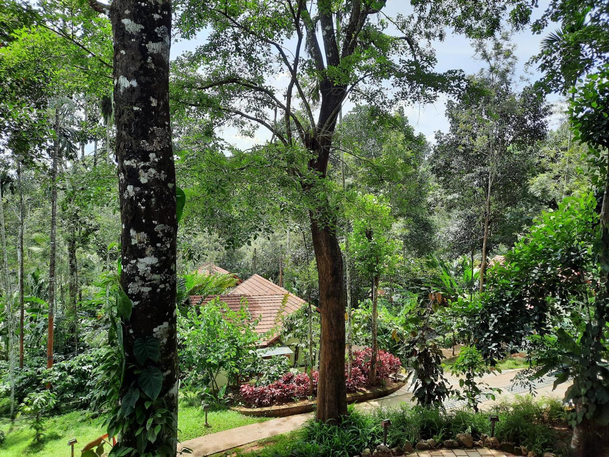 Willow Resorts Ambalavayal Exterior photo