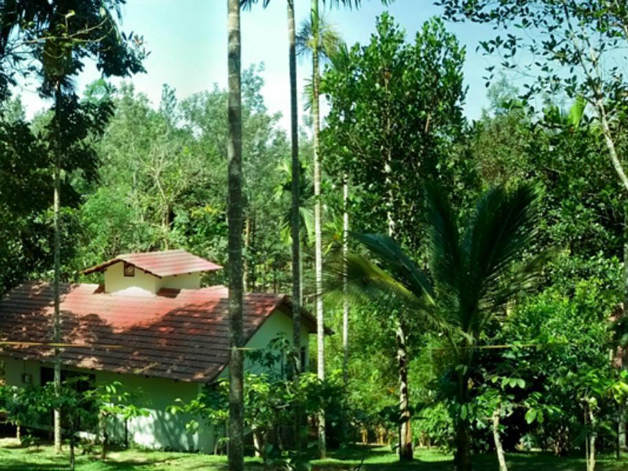 Willow Resorts Ambalavayal Exterior photo